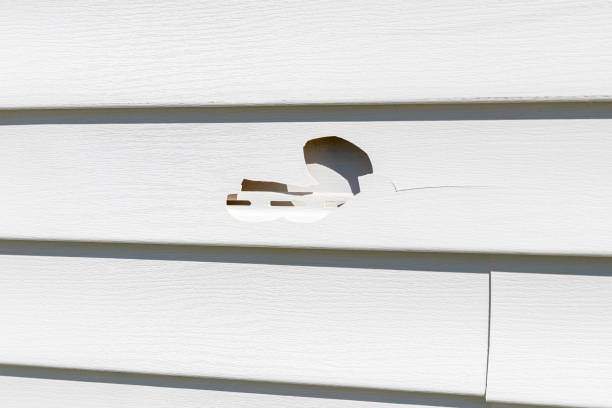 Best Steel Siding Installation  in Union, NJ