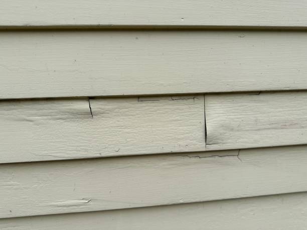 Best Residential Vinyl Siding Installation  in Union, NJ